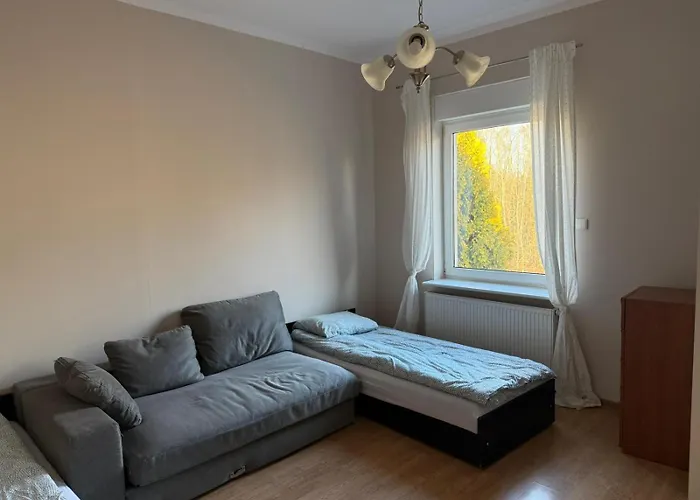 Zuza Self Check-in Parking, Cisza, Zielen